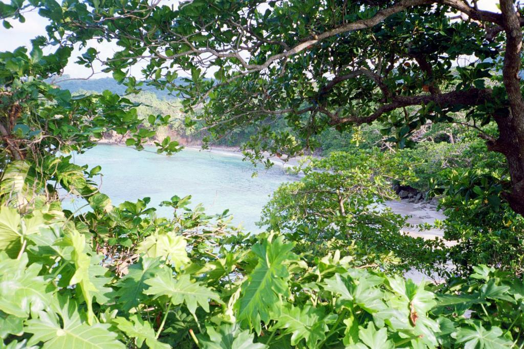 Boston Beach Guesthouse Port Antonio Exterior photo