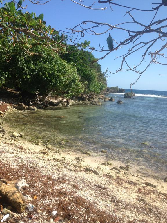 Boston Beach Guesthouse Port Antonio Exterior photo
